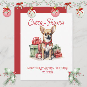 Chihuahua Tokig Jul Julkort