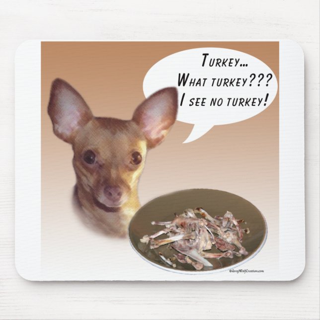 Chihuahua Turkey Musmatta (Framsidan)
