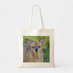 Chihuahua Tygkasse