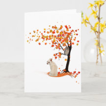 Chihuahua Uggla och Fall Träd Chihuahua Älskare hö