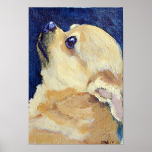 Chihuahua-utskrift Poster