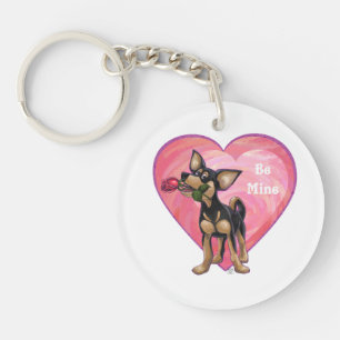 Chihuahua Valentindagen