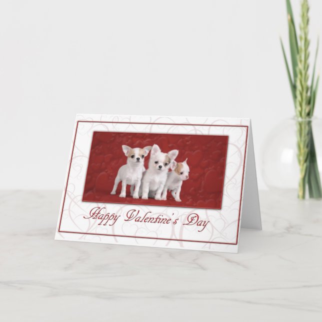 Chihuahua Valentine-kort 2 Helgkort (Framsida)