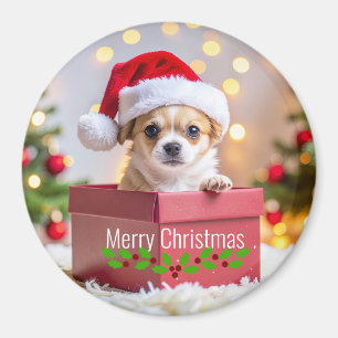 Chihuahua-valpens jul magnet