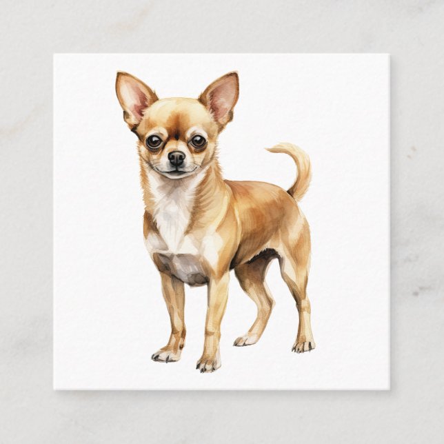 Chihuahua vattencolor clipart Chihuahua hund Fyrkantigt Visitkort (Framsida)