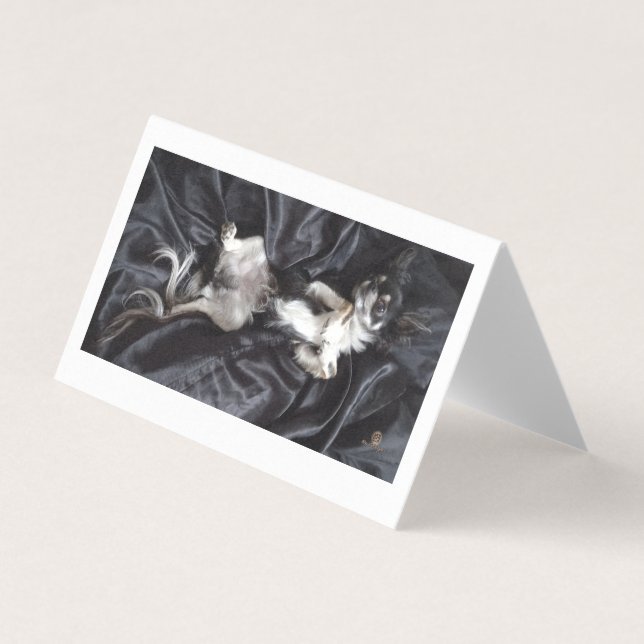 Chihuahua vid Svarta Silke Kort (Framsida)