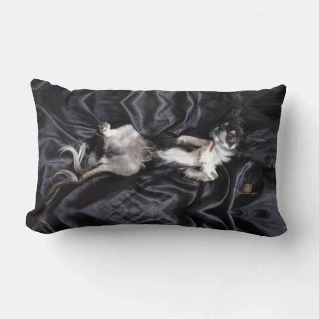 Chihuahua vid Svarta Silke Lumbarkudde (Framsida)