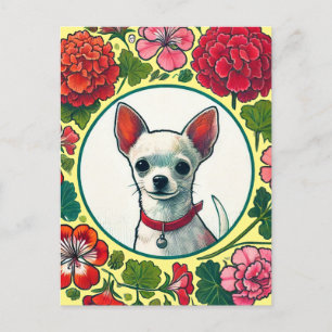 Chihuahua Vykort