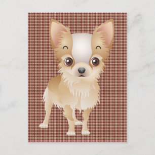 chihuahua vykort