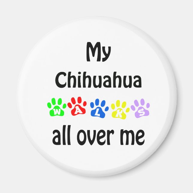 Chihuahua Walks Design Magnet (Framsidan)