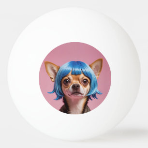 Chihuahua wig pingisboll