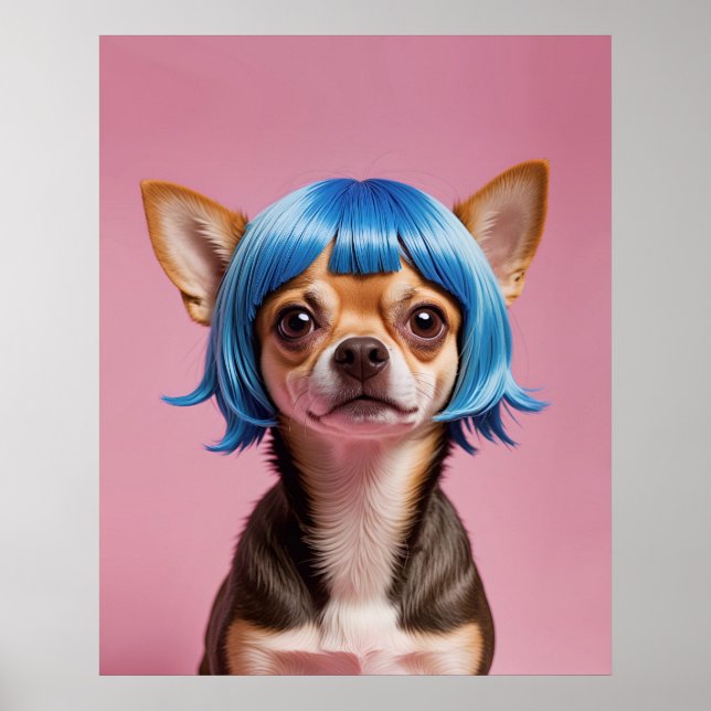 Chihuahua wig poster (Framsidan)