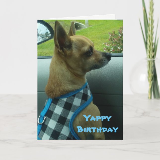 Chihuahua Yappy Birthday Card Kort (Framsida)