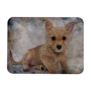 Chihuahua / Yorkie Puppy Magnet