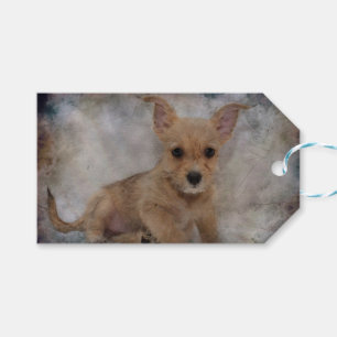 Chihuahua / Yorkie Puppy Presentetikett