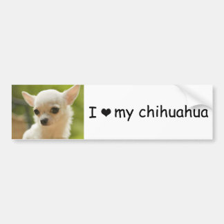 chihuahuabildekal bildekal