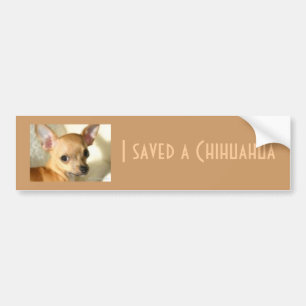 Chihuahuabildekal Bildekal