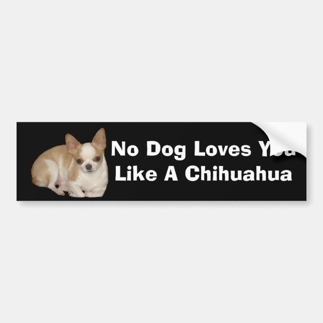 Chihuahuabildekal Bildekal (Framsidan)