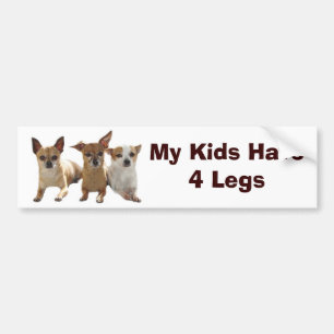 Chihuahuabildekalet min ungar har 4 ben bildekal