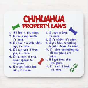 CHIHUAHUAegendomlagar 2 Musmatta
