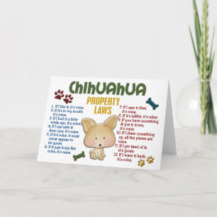 Chihuahuaegendomlagar 4 kort