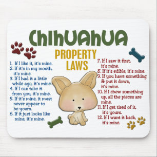 Chihuahuaegendomlagar 4 musmatta