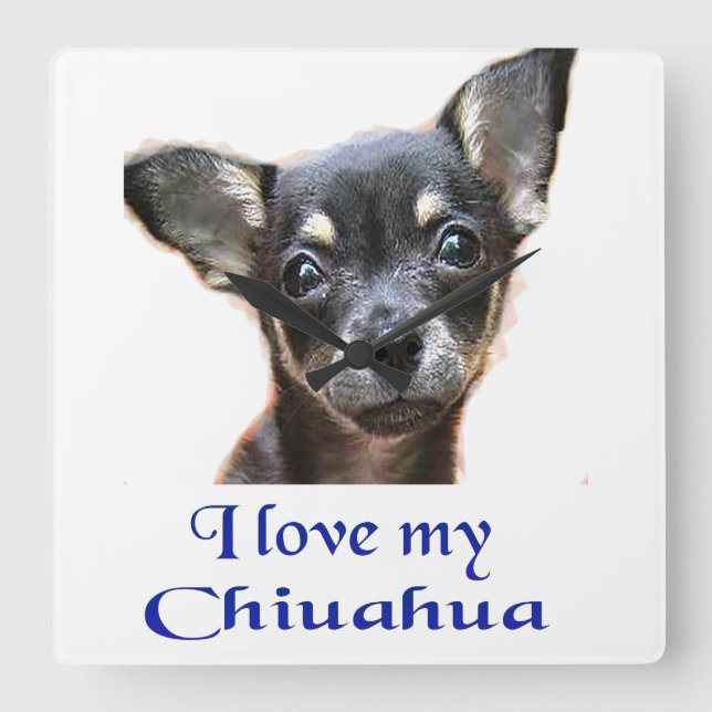 Chihuahuaen tar tid på fyrkantig klocka (Framsida)