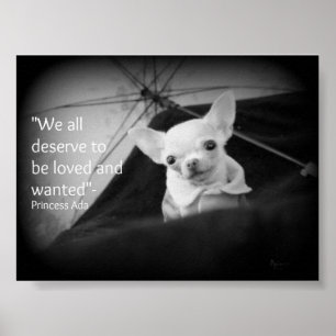 Chihuahuagillande Poster