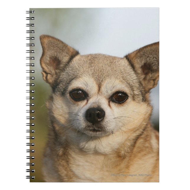 ChihuahuaHeadshot Anteckningsbok Med Spiral (Framsidan)