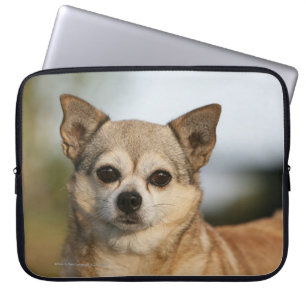 ChihuahuaHeadshot Laptop Sleeve