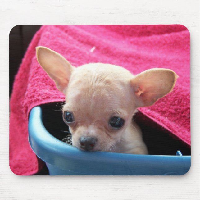 Chihuahuahund Mousepad Musmatta (Framsidan)