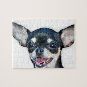 Chihuahuahund Pussel