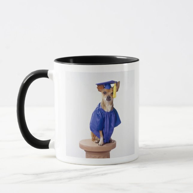 Chihuahuahund som ha på sig den enhetliga mugg (Vänster)