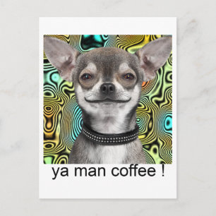 Chihuahuahund som ler för kaffe vykort