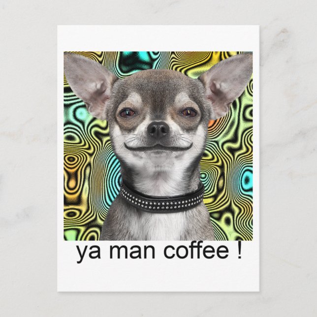 Chihuahuahund som ler för kaffe vykort (Framsida)