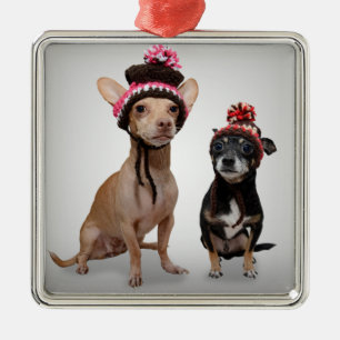 Chihuahuahundar med hattfotoet julgransprydnad metall