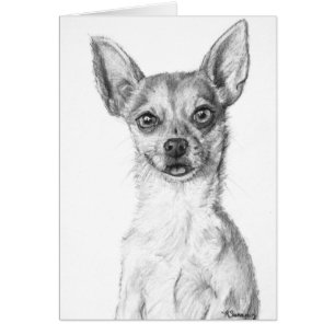 Chihuahuakonst Hälsningskort