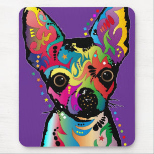 Chihuahuakonst Musmatta
