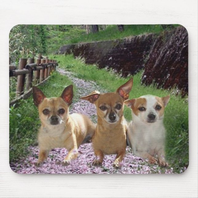 Chihuahualila blommor Mousepad Musmatta (Framsidan)