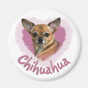 Chihuahuamagnet Magnet