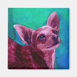Chihuahuamagnet - "sammet ", magnet