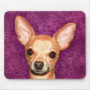Chihuahuaporträtt Musmatta