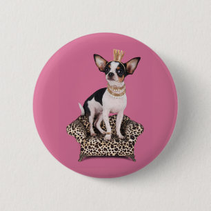 ChihuahuaPrincess Knapp