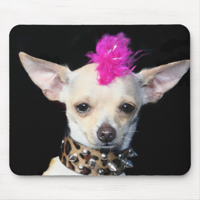 ChihuahuaPunkmousepad Musmatta (Framsidan)