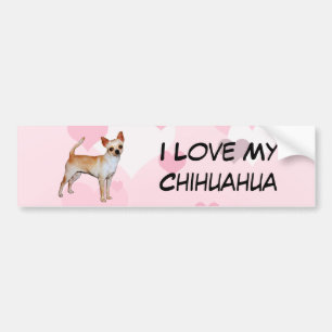 Chihuahuarosor & vithjärtor bildekal