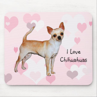 Chihuahuarosor & vithjärtor musmatta