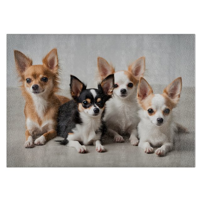 Chihuahuas (Framsidan)