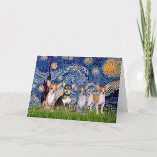 Chihuahuas (4) - Starry Natt Kort