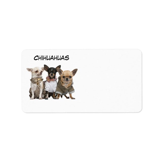 CHIHUAHUAS ADRESSETIKETT (Framsidan)