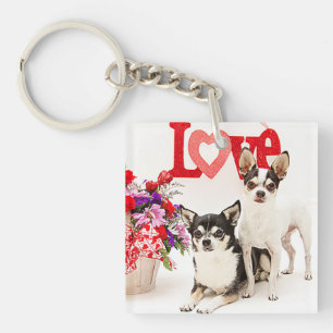 Chihuahua's, Flowers and Kärlek